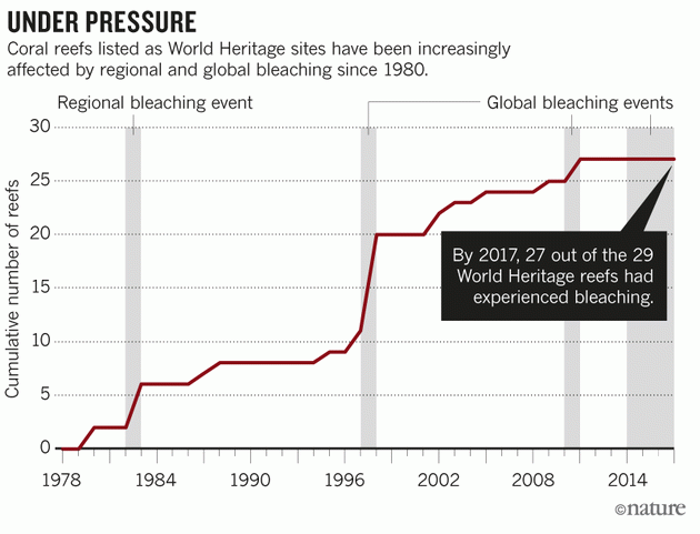 Coral reefs listed as World Heritage sites have been increasingly affected by regional and global bleaching since 1980